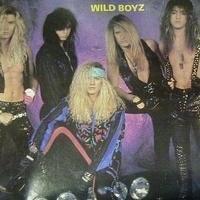 Фото исполнителя Wild Boyz