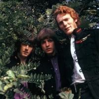 Cream