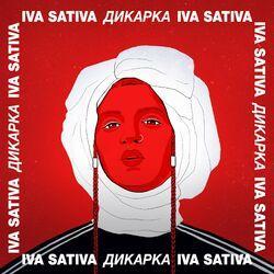 Iva Sativa