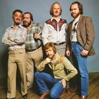 The Irish Rovers