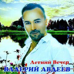 Валерий Авдеев