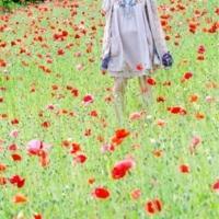 KOTOKO