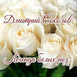 Дмитрий Соколов
