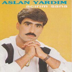 Aslan Yardım