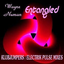 Wayne Numan