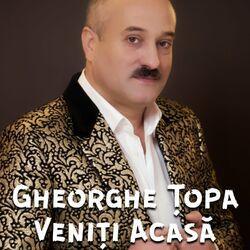 Фото исполнителя Gheorghe Țopa