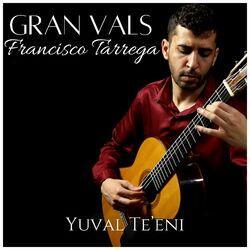 Yuval Te’eni