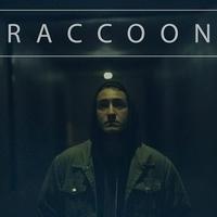 Raccoon