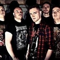 Ingested