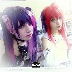 Clonnex