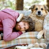 Casey Abrams