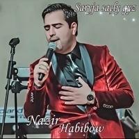 Nazir Habibow