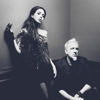 Kidneythieves