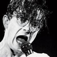Mark Mothersbaugh