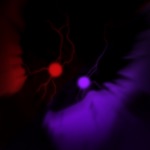 Обложка трека The Automotivo Infernal 1.0 - Purple