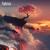 Dive - Fightstar