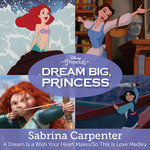 Обложка трека A Dream is a Wish Your Heart Makes/So This is Love