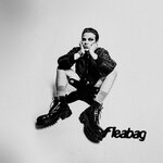 Обложка трека fleabag
