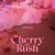 Love So Sweet - Cherry Bullet