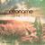 Down The Road - Metronome