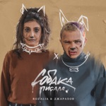 Обложка трека собака писала , собака какала , собака села и заплакала