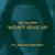 Won't Give Up - Jay Aliyev