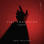 Обложка трека Feel Something