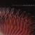 General Confessional - The Electric Prunes