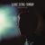 Cornerstone - Luke Sital-Singh