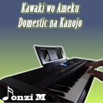 Обложка трека Domestic na Kanojo