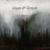Reflection in Slow Time - Shape of Despair