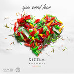Обложка трека You Need Love