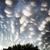 I Sincerely Doubt It - Partly Cloudy
