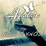 Обложка трека Now I Know