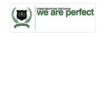 Обложка трека We Are Perfect