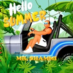 Обложка трека Hello Summer (Martik C Rmx)