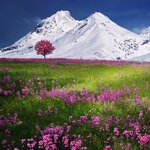 Обложка трека Blissful Harmony