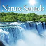 Обложка трека Nature Sounds – Oceans, Rain and Quiet Birds for Sleep, Sleeping Problems, Apnea