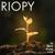 Le rêve d'une note - RIOPY