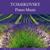 I. Ruines d'un chateau - Claudio Colombo