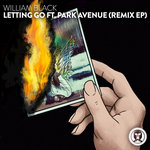 Обложка трека Letting Go