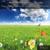 Mindfulness - Ambient