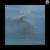 Seagull - Ride