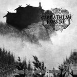 Обложка трека The Pale Mist Hovers Towards the Nightly Shores