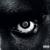 Tard la night - Damso