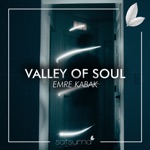 Обложка трека Valley Of Soul