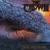 The Great Dying - The Crown