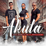 Обложка трека Akula