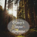 Обложка трека Флейта