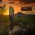 Dreaming in Color - Butcher Babies